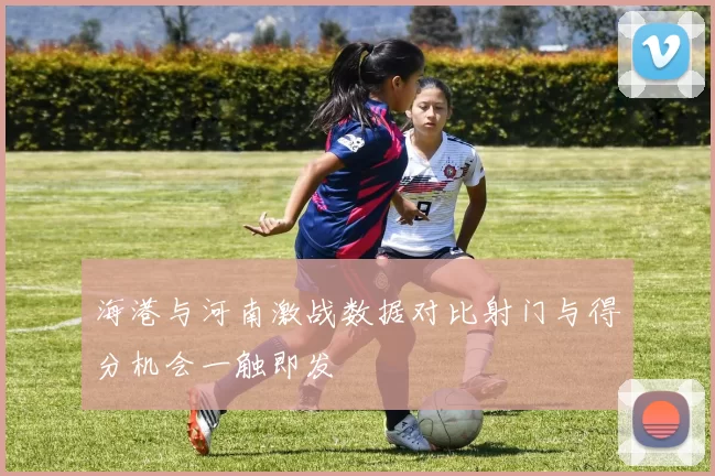 海港与河南激战数据对比射门与得分机会一触即发