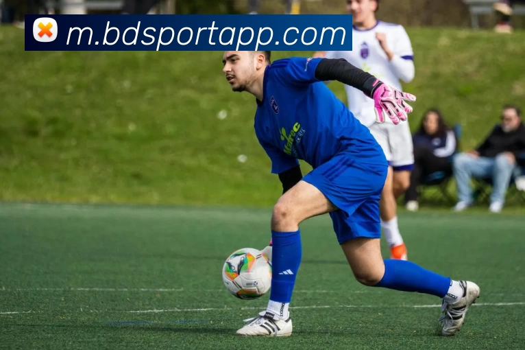 半岛体育APPAPP 高清赛事图